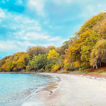 Ole Romers Gade 108 * Århus