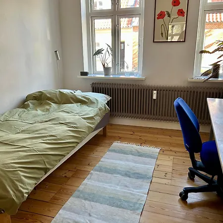 아파트 Ole Romers Gade 108 *